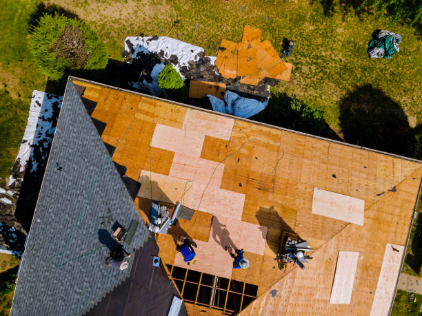Best Roof Replacement Cost  in Rio Grande, NJ